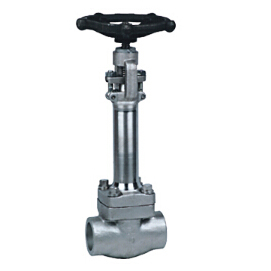 Ultra low temperature forged steel gate valve and globe valve
