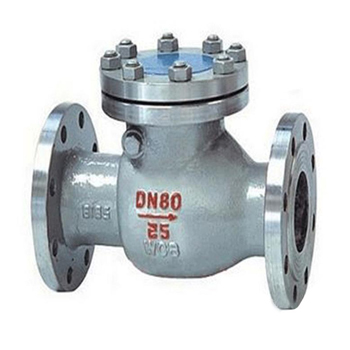 Flange swing check valve