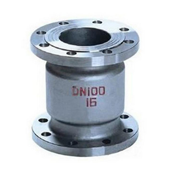 Flange vertical check valve