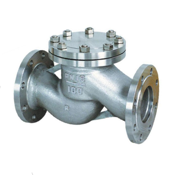 Flange lift check valve