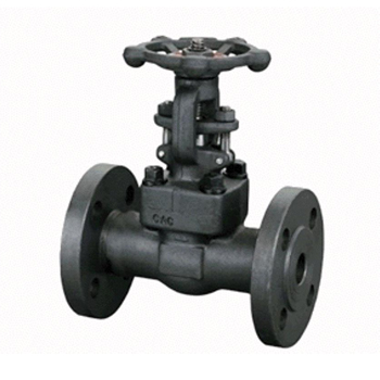 Flanged forged steel globe valve