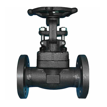 Flanged forged steel gate valve